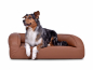 Preview: Flo Select+ Hundebett Kunstleder gesteppt 70x50 cm Kupfer