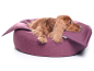 Preview: K-Nax Hundebett Softline 60 cm violett