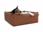 Preview: Quadro Select+  Hundesofa  75 x 75 cm kupfer