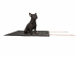 Preview: Roll-up-Hundematte Stockholm Monoline anthrazit