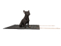 Preview: Roll-up-Hundematte Stockholm Monoline anthrazit