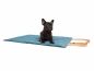 Preview: Stockholm Hundematte Roll Up tuerkis