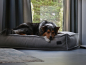 Preview: Hundekissen Flow Struqturo 80x60 cm GRAU