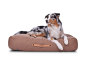 Preview: Hundekissen Stockholm Monoline hellbraun