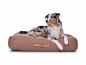 Preview: Hundekissen Stockholm Monoline hellbraun