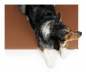 Preview: Solana Hundematte aus Kunstleder kupfer