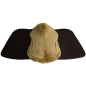 Preview: Lammfell Schabracke Fellrand vorne&hinten Fell in Sattellage Mocca-Camel-2