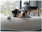 Preview: hundbeett loci creme
