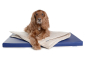 Preview: Hundematte Luvano Kunstleder 120x80 cm marine