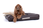 Preview: Montreal Hundebett Kunstleder braun 110x90 cm