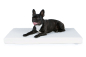 Preview: Nuvola Hundematte aus Kunstleder gesteppt 120x80 cm weiss