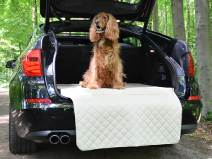 Auto Hundematratze Travelmat City Hunde-Reisebett 100 x 80 cm creme