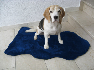Lammfell Hundedecke Patchwork blau