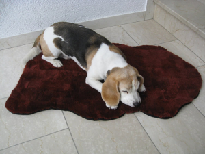 Lammfell Hundedecke Patchwork rot