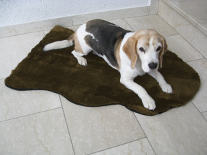 Lammfell Hundedecke Patchwork braun