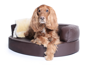 Hundebett Atlanta Kunstleder 130x110 cm braun