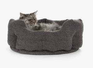 Katzenbett_camino