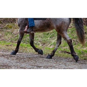Equine Fusion All Terrain Slim-4