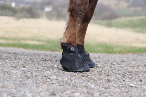 schwarze Equine Fusion Recovery Hufschuhe