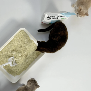 Katzenstrez Umweltfreundlicher zum Runterspülen