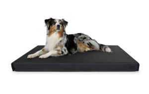 Solana Hundematte aus Kunstleder schwarz