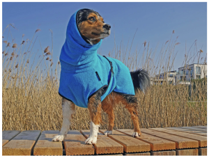 Hunde Bademantel TÜRKIS
