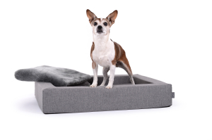 Harko Hundebett Softline silber 80x60 cm