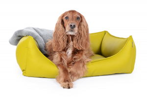 Hundebett Dreamcollection Kunstleder 110x90 cm kiwi