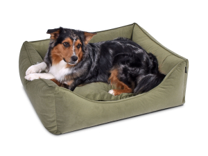 Hundebett Dreamcollection MF-Line 70x50 cm grün