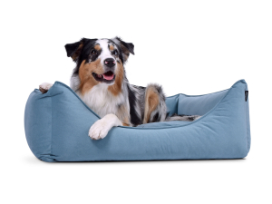 Hundebett Dreamcollection MF-Line 70x50 cm hellblau