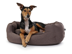 Fancy Hundebett mono braun