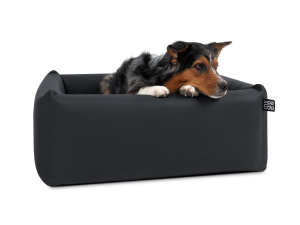 Quadro Select+  Hundesofa  55 x 55 cm schwarz