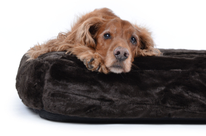 Hundebett Spring Fake Fur 90x70 cm braun