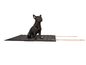 Roll-up-Hundematte Stockholm Monoline anthrazit