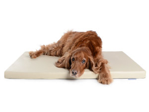 Hundematte Luvano Kunstleder 120x80 cm creme