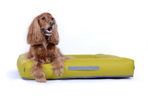 Montreal Hundebett Kunstleder kiwi 90x70 cm