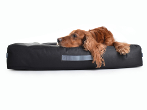 Montreal Hundebett Nylon 110x90 cm schwarz