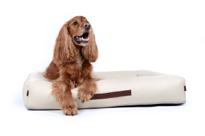 Montreal Hundebett Kunstleder creme 90x70 cm