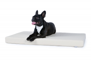 Nuvola Hundematte aus Kunstleder gesteppt 100x70 cm creme