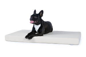 Nuvola Hundematte aus Kunstleder gesteppt 140x100 cm creme