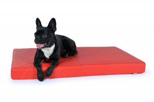 Nuvola Hundematte aus Kunstleder gesteppt 120x80 cm rot