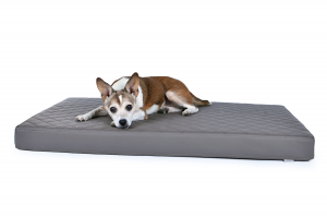 Nuvola Hundematte aus Kunstleder gesteppt 120x80 cm taupe