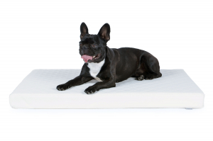Nuvola Hundematte aus Kunstleder gesteppt 140x100 cm weiss