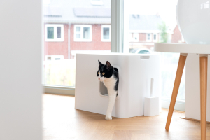 Katzentoilette_black_tiervital_naturprodukte