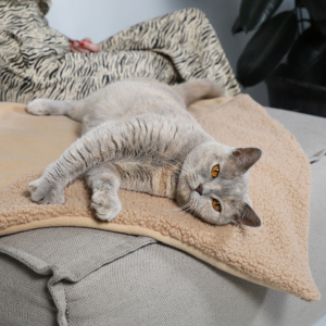 Nach einem Spiel- und Kuscheltag ist es für Ihre Katze schön, sich zu entspannen. Mit dieser Katzendecke sind alle Katzensorgen vergessen. Sie kann sich gemütlich zusammenrollen und hat den perfekten, weichen Platz für ein warmes Nickerchen