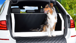 Hunde Autobett Travelmat Plus VW