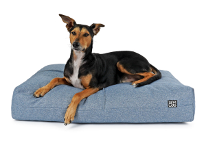 Hundekissen Twiddle gesteppt  BLAU