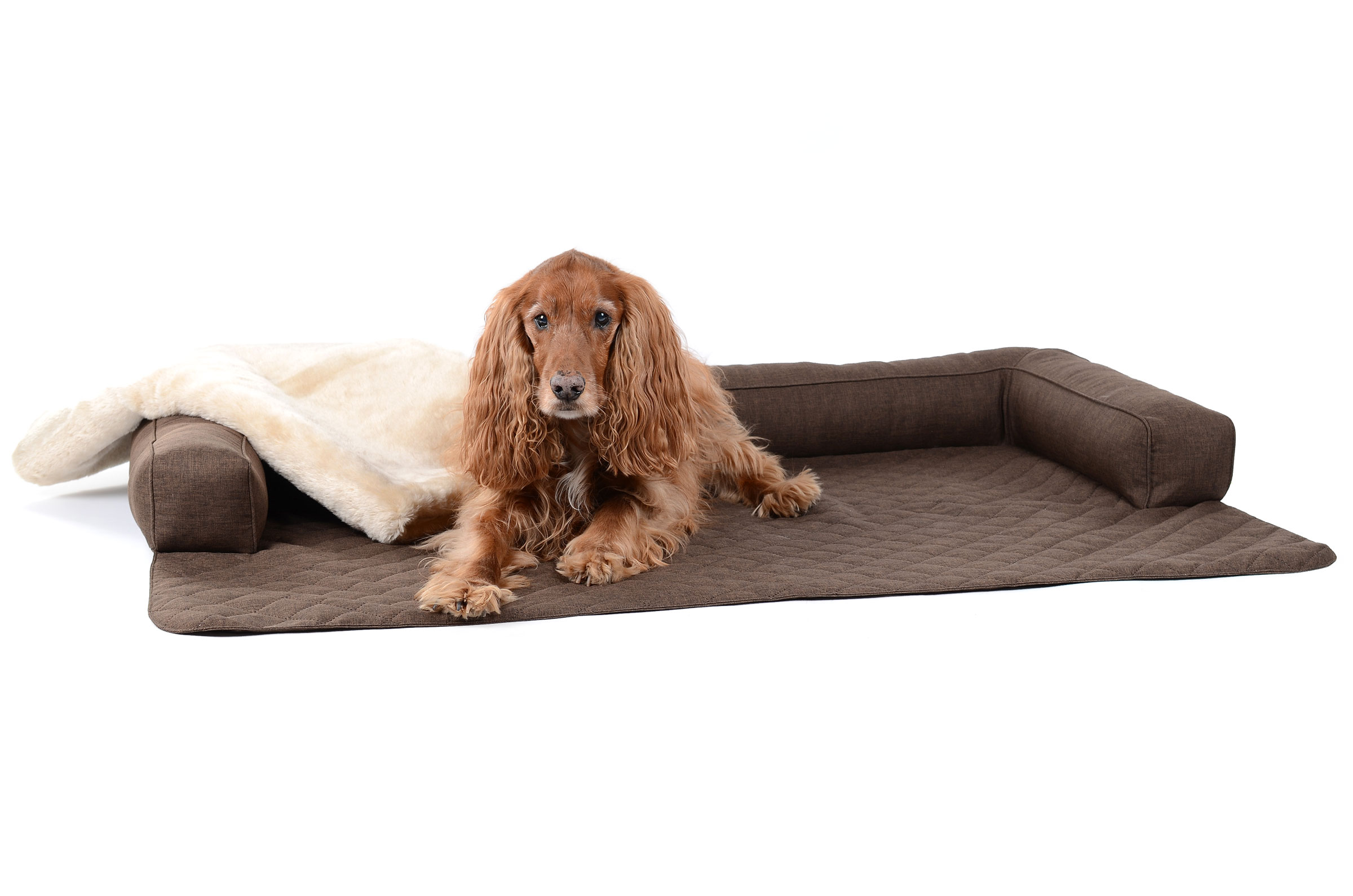 Hunde Sofaschutzdecke