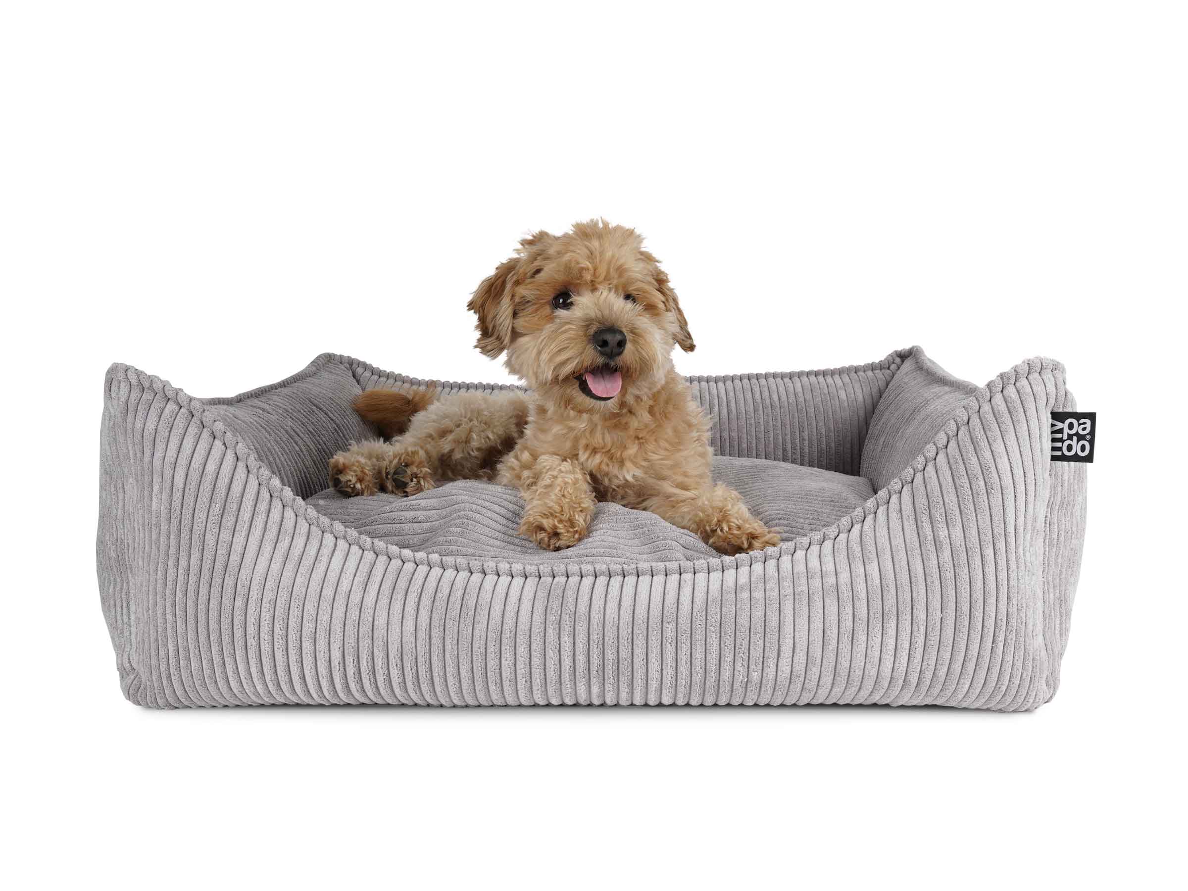 Pettycare Kühlendes Erhöhtes Hundebett XL – 124x83 Cm, Grau, Für Große Hunde Bis 68 Kg