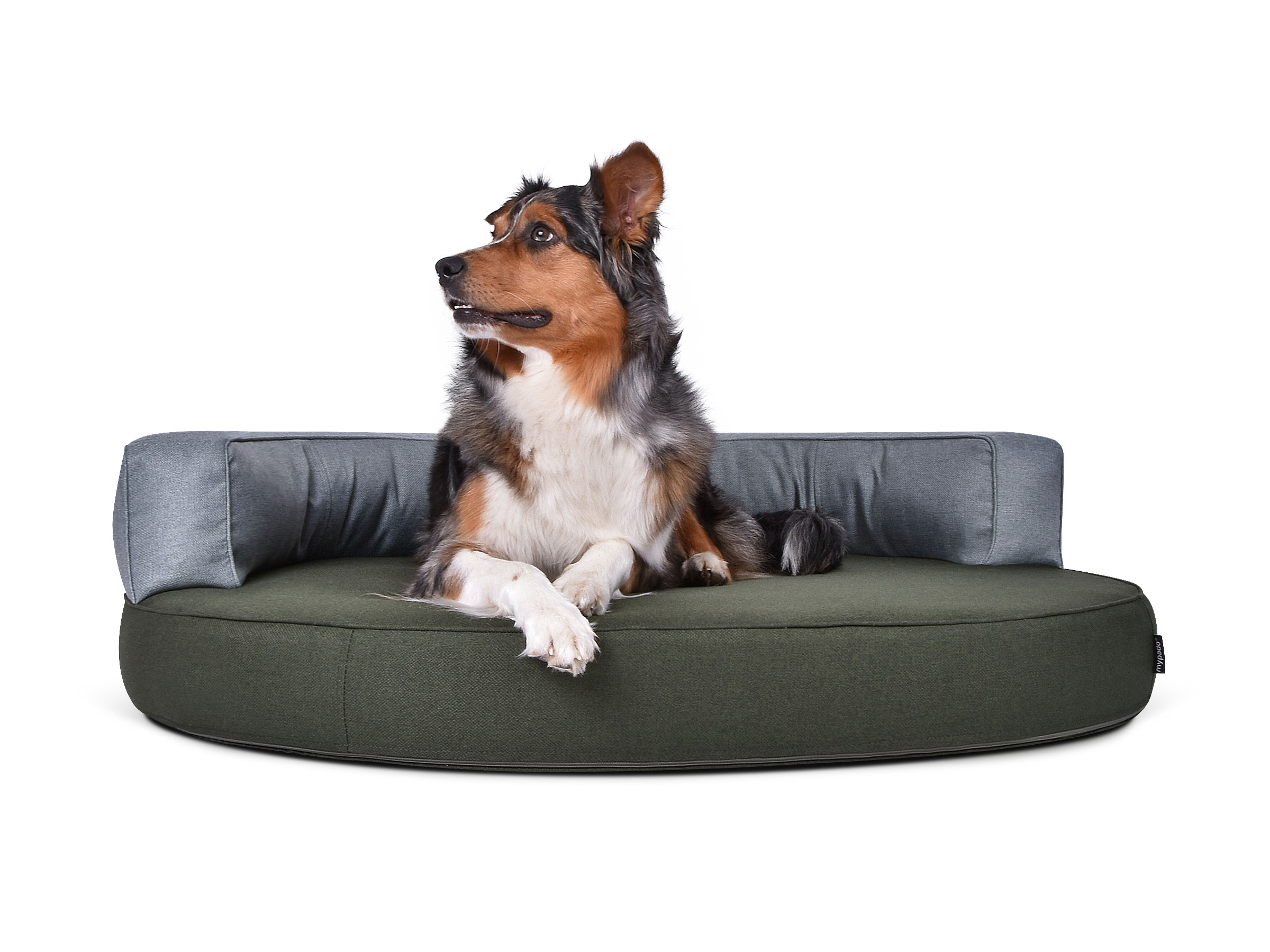 katzenstreu billig AMORA Katzenstreu Classic unser Bestes gnstig kaufen